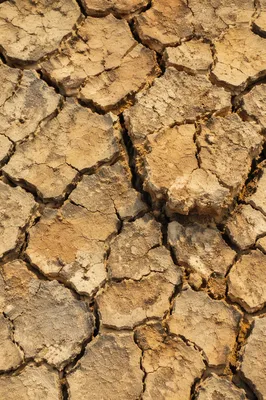 Drought Cracked Desert Earth Texture