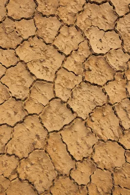 Dried Cracked Desert Earth Texture