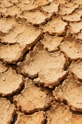 Drought-Cracked Desert Clay Texture Background