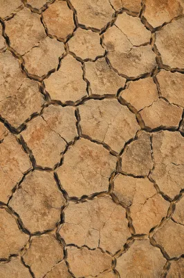 Cracked Desert Earth Texture Background