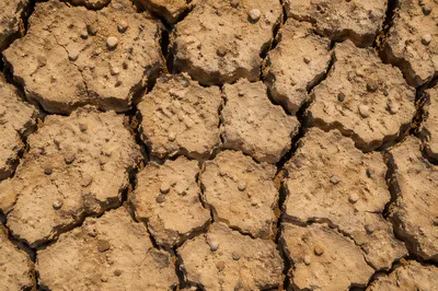 Cracked Desert Earth Drought Texture