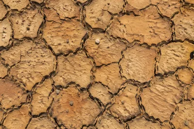 Dried Cracked Desert Earth Texture