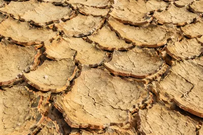 Drought Cracked Desert Clay Texture