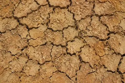 Cracked Desert Earth Texture Background