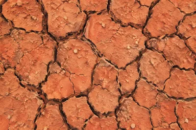 Parched Cracked Desert Earth Texture Background