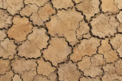 Cracked Desert Earth Texture Background