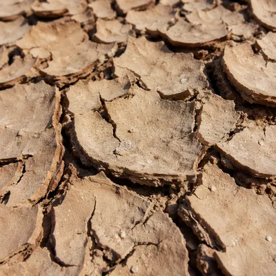 Drought Cracked Desert Clay Texture