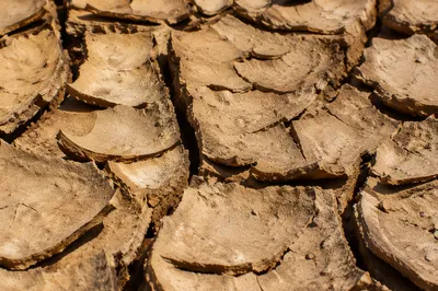 Drought Cracked Desert Clay Texture