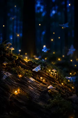 Glowing Fireflies in a Summer Night Forest