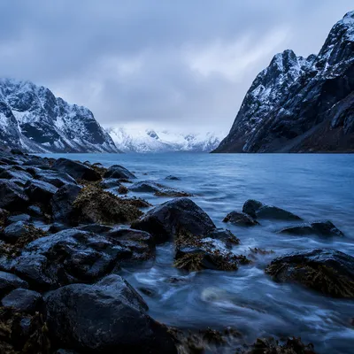 Quiet Norway Fjord at Blue Hour