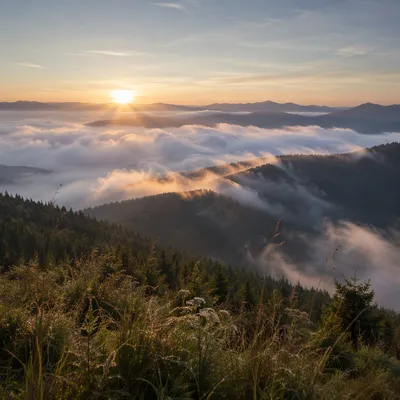 Morning Fog Over Mountain Ridge