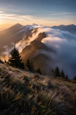 Morning Fog Over Mountain Ridge
