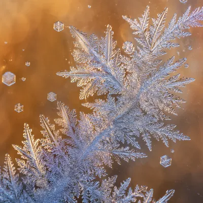 Delicate Frost Crystals on Winter Glass