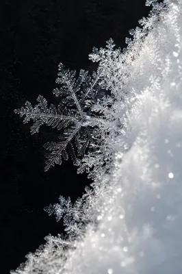 Delicate Frost Crystals in Winter Macro