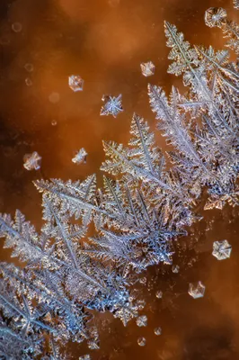 Delicate Frost Crystals on Winter Glass