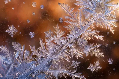 Delicate Frost Crystals on Winter Glass