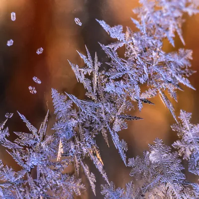 Delicate Frost Crystals on Winter Glass