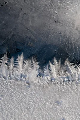 Frost Ice Crystals on Winter Surface