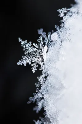 Delicate Frost Crystals in Winter Macro