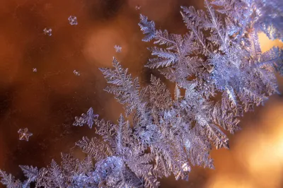 Delicate Frost Ice Crystals Macro
