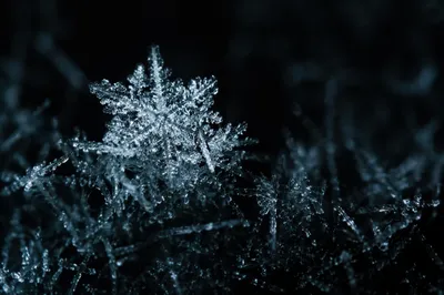 Delicate Frost Crystal Macro in Winter