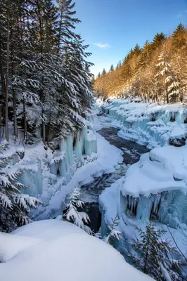 Frozen Waterfall in Snowy Forest Gorge