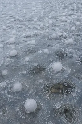 White Hailstones on Frozen Winter Surface