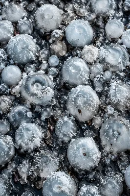 Macro Hail Stones After Violent Storm
