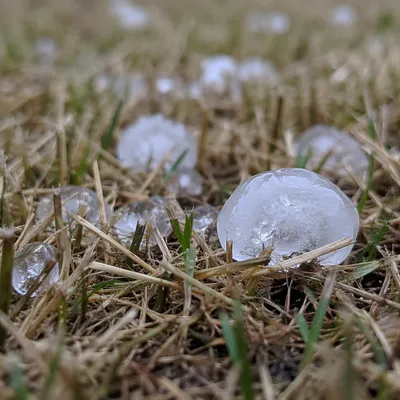 Hail Stones on Damaged Grass After Storm