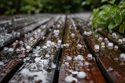 Fresh Hailstones on Rain-Soaked Wooden Planks