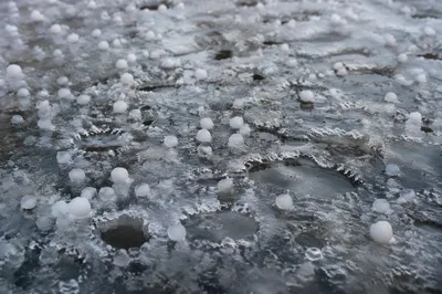 Fresh Hailstones on Frozen Winter Surface