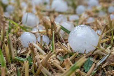 Macro Hail Stones After Severe Storm