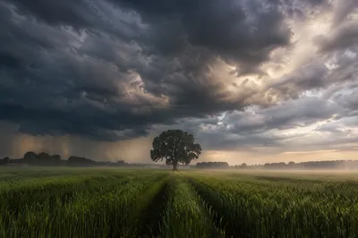 Rural Farmland Beneath Approaching Hailstorm Clouds