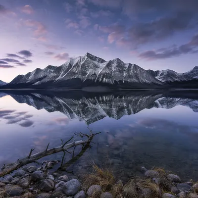 Still Alpine Lake Mountain Reflection at Blue Hour