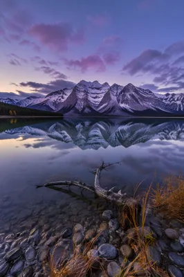 Still Alpine Lake Mountain Reflection at Dawn