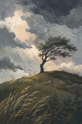 Solitary Tree Beneath Stormy Hilltop Sky