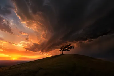 Lone Tree Beneath Dramatic Sunset Clouds