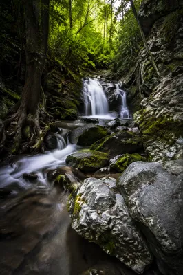 Mossy Forest Stream with Silky Waterfall