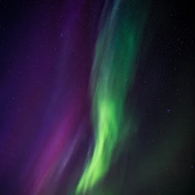 Green Aurora Over Starry Indigo Sky