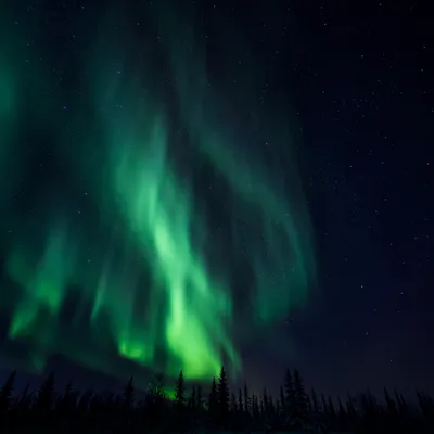 Green Aurora Borealis Over Arctic Night
