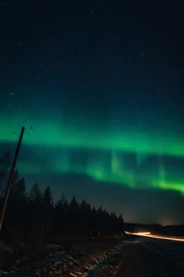 Green Aurora Over Quiet Northern Woodland