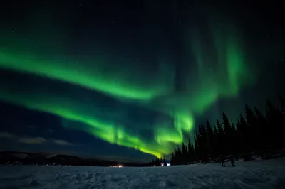 Green Aurora Over Winter Forest