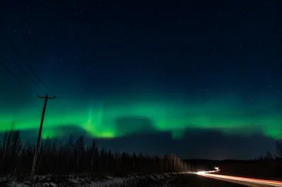 Green Aurora Over Quiet Northern Woodland