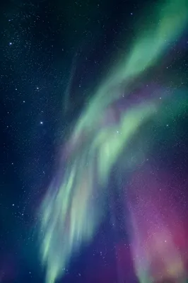 Arctic Aurora Borealis Starry Night Sky