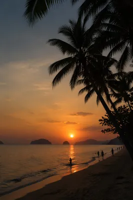 Palm Silhouettes Over Tropical Sunset Beach