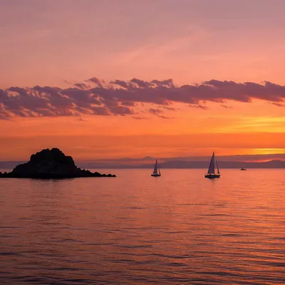 Pink Sunrise Over Calm Bay Sailboats