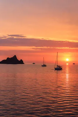 Pink Sunrise Over Calm Bay Sailboats