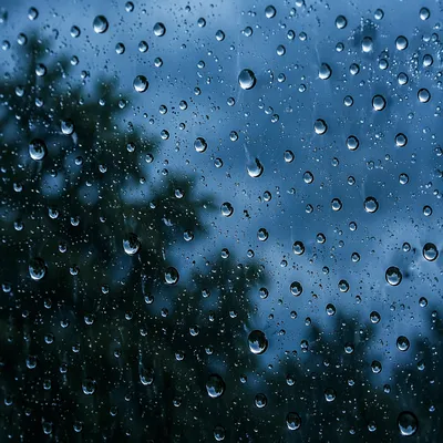 Moody Rain Droplets on Window Glass