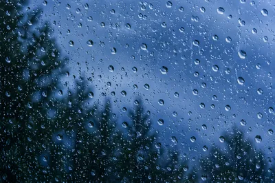 Moody Rain Droplets on Window Glass