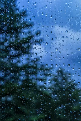 Moody Rain Droplets on Window Glass